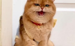 一站二站三站四站五站夜恋